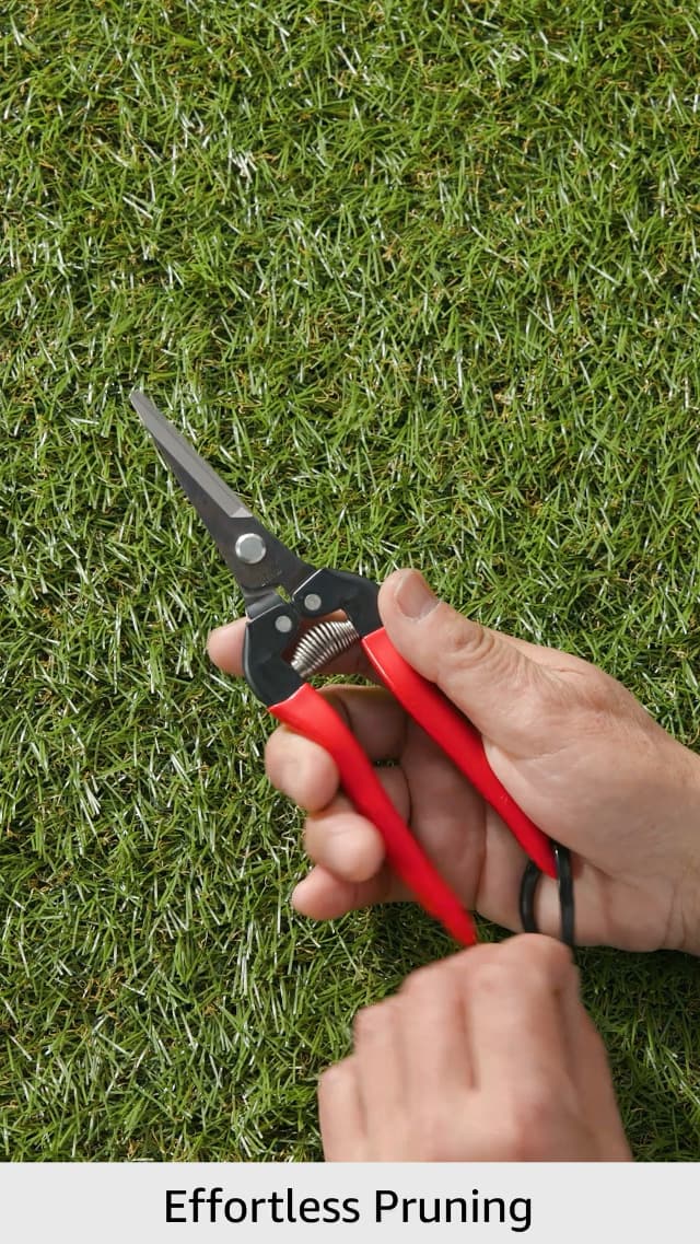 ARS HP-300L Needle Nose Fruit Pruners