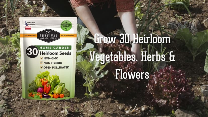 Survival Garden Seeds Home Garden 30 Variety Pack - 18,500+ Heirloom Vegetable, Fruit Seeds - Non-GMO, Non-Hybrid, Open-Pollinated for Outdoor & Indoor Gardens, Prepping, Hydroponics, Survival Food
