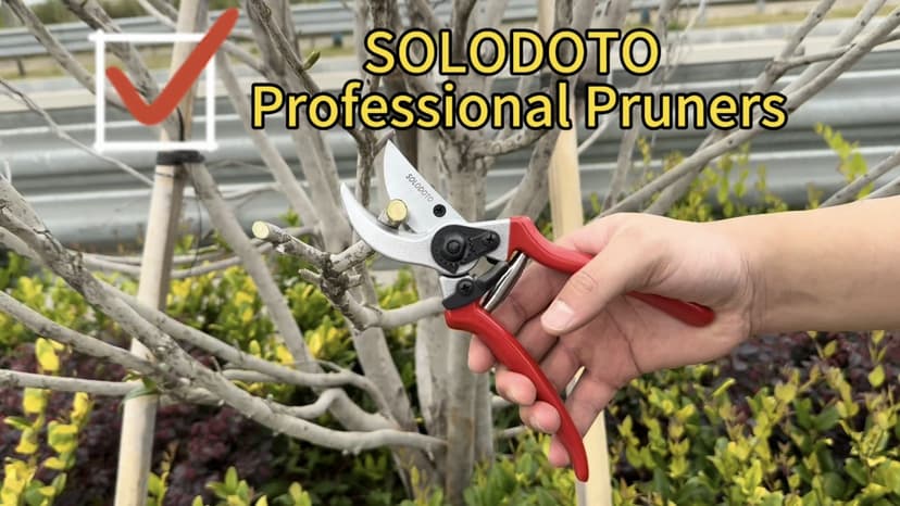 SOLOTODO 8.5" SK5 Bypass Pruning Shears for Gardening, 4x Sharper Garden Shears Clippers Scissors, Professional Pruners for Gardening Gifts for Women Men, Japanese Steel German Technique, Non-breaking