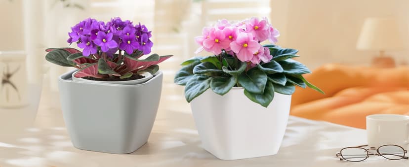 African Violet Pot Self Watering Ceramic Planter Pots, Easy Self Watering Planter for Busy Plant Lovers, Automatically Absorb Appropriate Amount of Water - Plants Not Included