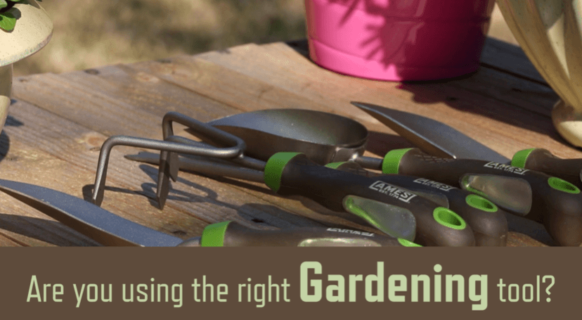 AMES 2445400 Stainless Steel Hand Soil Scoop with Ergo Gel Grip, 13-Inch