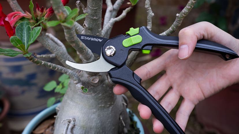 Pruning Shears for Gardening - 8.5" SK5 Garden Shears Cuts 10000+ Times Staying Sharp - Garden Scissors with One-handed Unlocking & Adjustable Handle- Garden Clippers Gardening Tools for Men Women