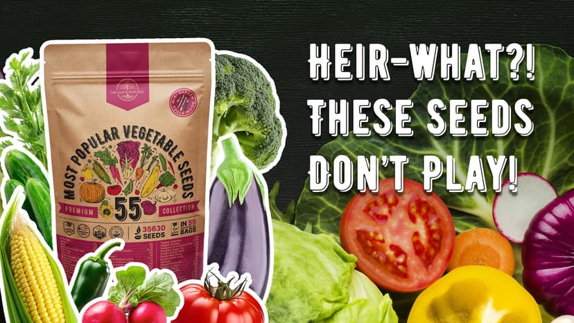 55 Vegetable Seeds Variety Pack - 35,600+ Non-GMO Heirloom Seeds for Planting Vegetables and Fruits in Individual Seed Packets, Home Survival Garden Seeds for Hydroponic, Indoor and Outdoors Gardening