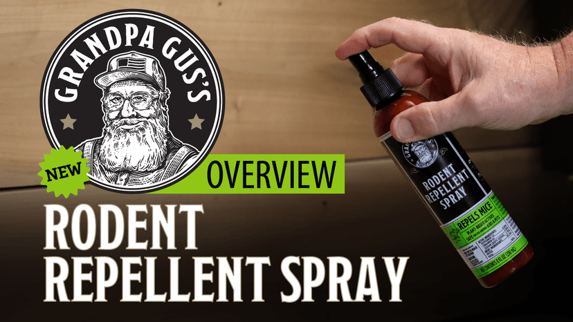 Grandpa Gus's Rodent Repellent Spray with Sprayer, Natural Peppermint & Cinnamon Oils Repel Mice and Stop Rats, 1 Gallon (Pack of 1)