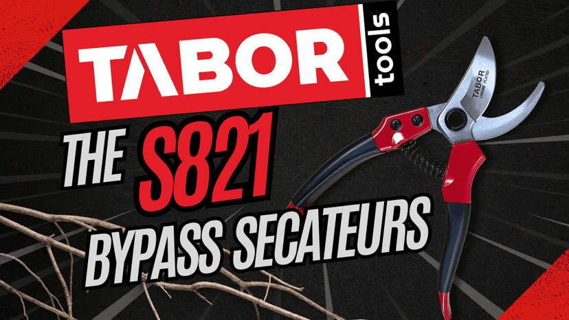 TABOR TOOLS S821A Bypass Pruning Shears, Makes Clean Cuts, Great for S-M Size Hands. Professional Sharp Secateurs, Hand Pruner, Garden Shears, Clippers for The Garden.