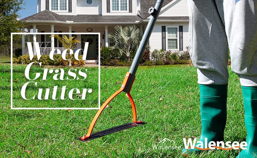 Walensee Weed Grass Cutter with Serrated Double-edged Sharp Blade Manual Grass Whip with 30 Inch Steel Handle Cut Overgrown Weeds Cutting Hand Tool Steel Sod Cutter for Garden, Yard, Field and Ditches