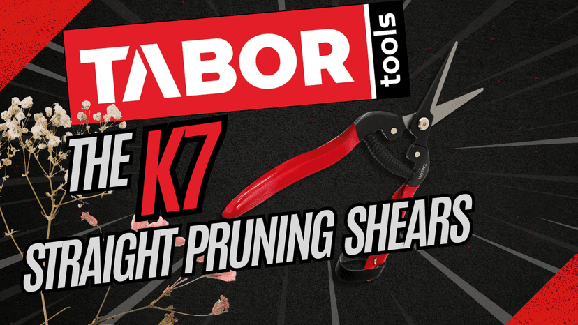 TABOR TOOLS K7A Straight Pruning Shears with Carbon Steel Blades, Florist Scissors, Multi-Tasking Garden Snips for Arranging Flowers, Trimming Plants and Harvesting Herbs, Fruits or Vegetables.