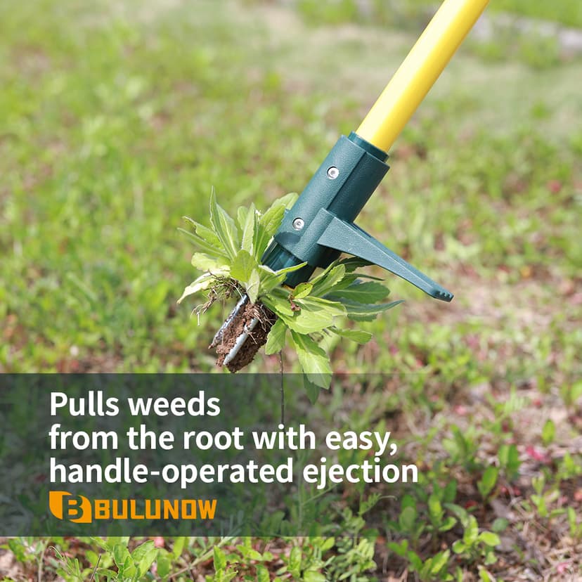 Weed Puller Tool, 50IN Long Handle 3 Claws Stand Up Weeder, Extra Thickened Stainless Steel Shaft Garden Weeding Tool,Remove the Roots of Thistles, Crabgrass, Dandelions, and Blackberries, etc.