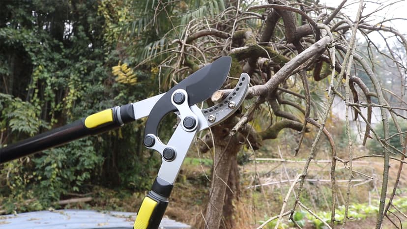 JARDINEER 3PCS Extendable Anvil Loppers Shears Set, Branch Cutters Heavy Duty with 2 Inch Clean Cut Capacity, 28-38.5" Telescopic Tree Trimming Long Handle with SK5 Spare Blade