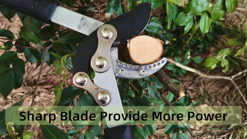 Lopper Heavy Duty Branch Cutter Tree Clippers with Compound Action, Chops Thick Branch Ease, Garden Loppers Pruning, 18 Inch Tree Trimmer with 1.6” Clean Cut Capacity (18 Inch)