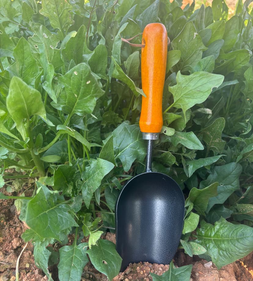 12.6’’ Garden Hand Trowel, Soil Scoop Wooden Handle, Stainless Steel Potting Shovel Spoon, for Flower Vegetables Soil Transplanting, Weeding, Moving, Digging, Planting Garden Plant