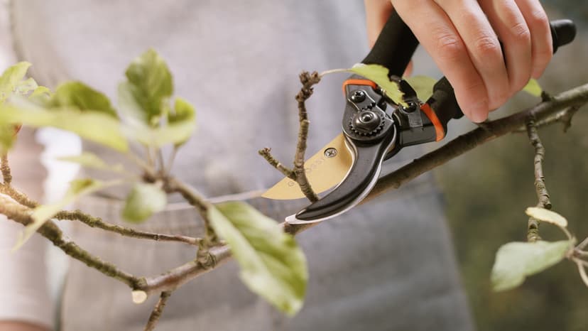 Premium Bypass Pruning Shears for your Garden - Heavy-Duty, Ultra Sharp Pruners w/Soft Cushion Grip Handle Made with Japanese Grade High Carbon Steel - Perfectly Cutting Through Anything in Your Yard