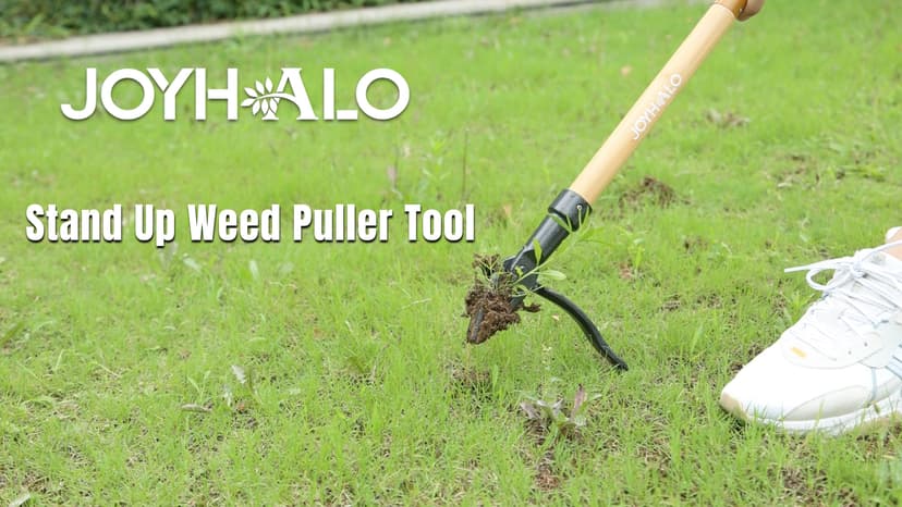 joyhalo 46" Dandelion Weed Puller Tool Stand Up Heavy Duty 4-Claw, Long Handle Weeder Tool for Yard with Steel Head, Weeding Tool Weed Picker, Weed Pulling Tool Without Bending or Kneeling