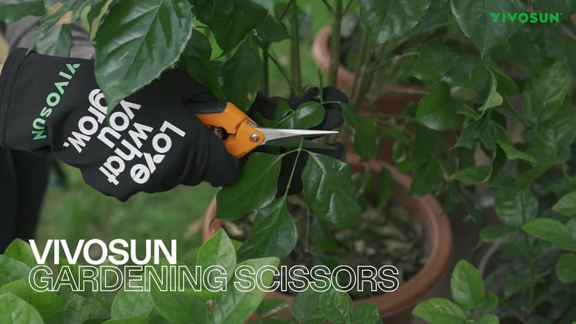 VIVOSUN 3-Pack 6.5 Inch Gardening Scissors Hand Pruner Pruning Shear with Straight Stainless Steel Blades Orange