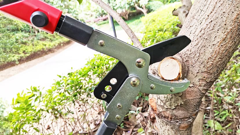 Loppers Branch Cutter Heavy Duty Tree Trimmer, Extendable 28-41" Tree Pruner with Compound Action, Tree Cutter with 2 Inch Clean Cut Capacity Chop Thick Branches Effortlessly