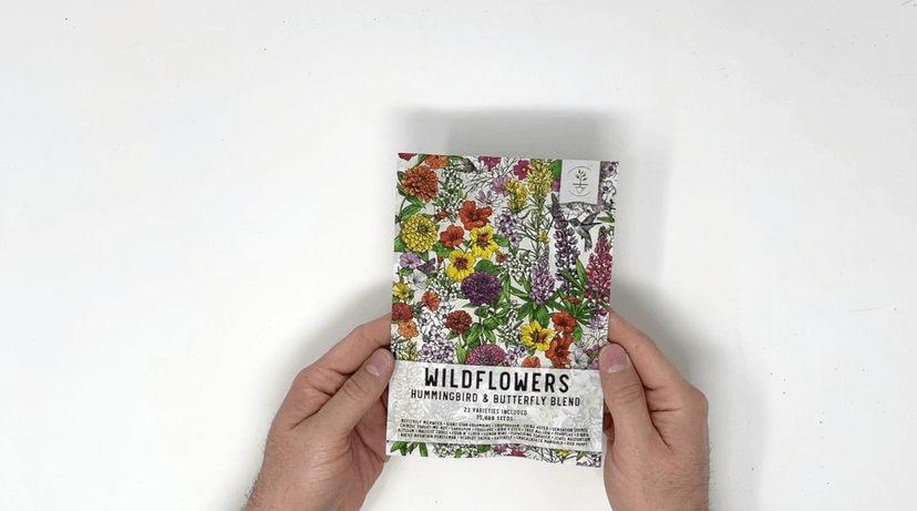 Seed Needs Flower Seeds Hummingbird and Butterfly Seed Mix 1 Ounce No Filler | 23 Varieties Garden Seeds Annual & Perennial Species | Pollinator Attracting Flowering Seed | Bulk Resealable Package