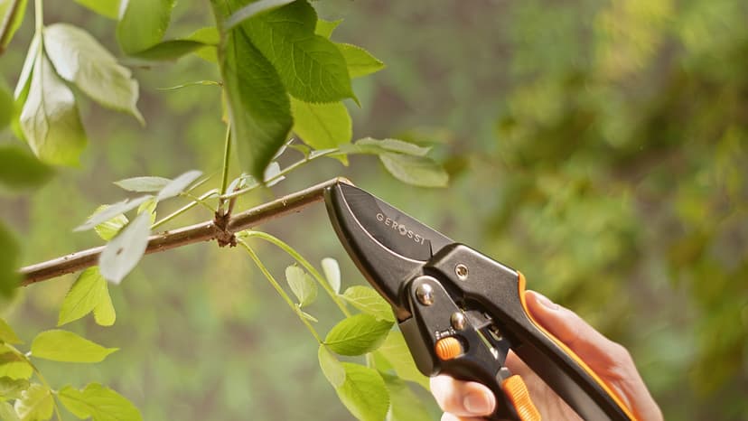 Ratchet Pruning Shears for Gardening Heavy Duty - Increases Cutting Power 3x - Perfect Ratchet Pruners for Weak Hands & Arthritis- 8” Anvil Garden Clippers - w/Extra Sharp Blade for Effortless Cutting