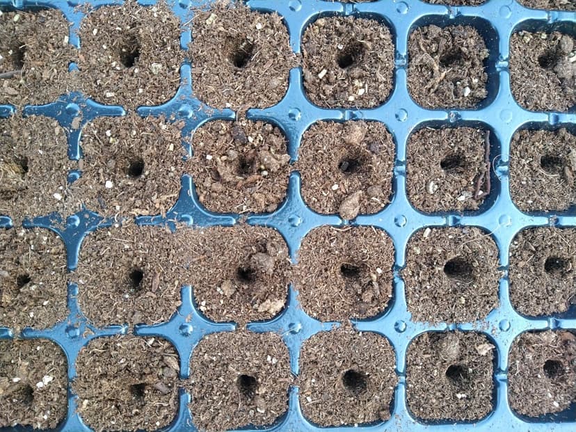 24-Hole Soil Digger and Seed Spacer for Planting Seeds | New Garden Tool, Gift for Gardener