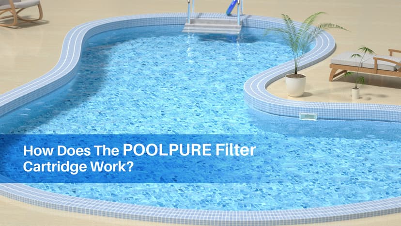 POOLPURE PLF120A Pool Filter Replaces Hayward C1200, CX1200RE, Pleatco PA120, Ultra-B2, Unicel C-8412, Filbur FC-1293, Clearwater II 125, Waterway Pro Clean PCCF-125, L x OD:23 1/4" x 8 15/16"