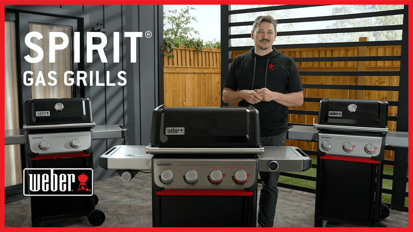 Weber SPIRIT 2-Burner Grill E-210 Liquid Propane Black