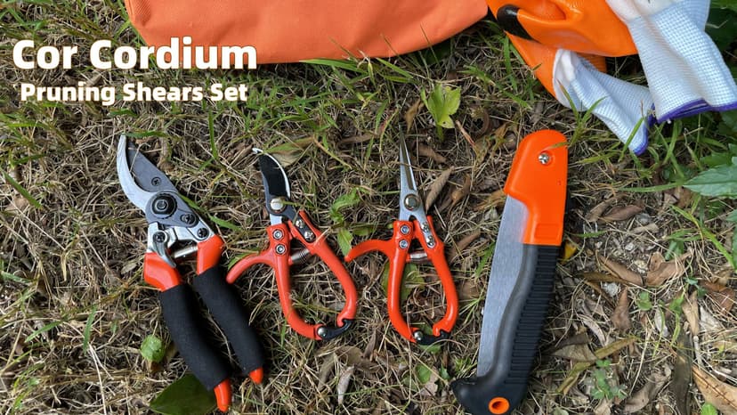 6Pcs Pruning Shears Set with Bypass Pruning Shears, Garden Scissors, Pruning Snips,Saw,Gloves,Storage Bag,Handheld Garden Shears Set for Plant