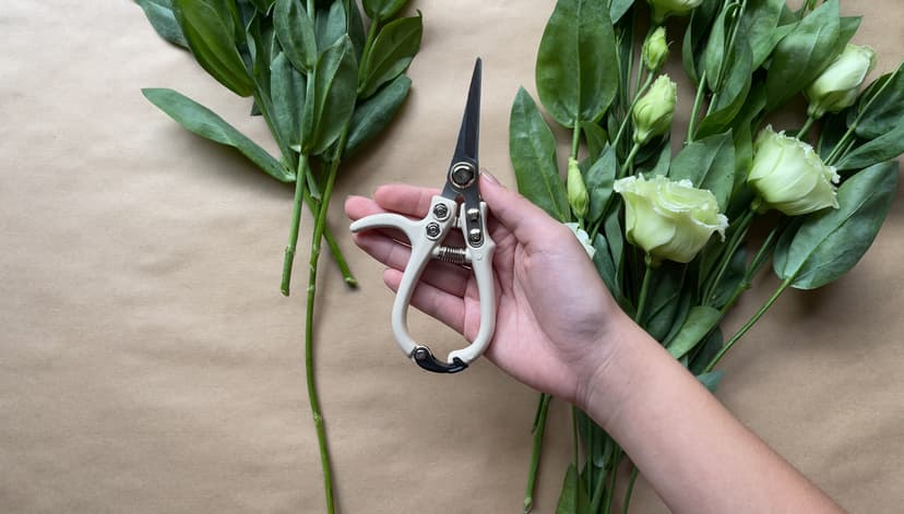 Plant Pruning Shears Garden Trimming Scissors Precision Hand Pruner Herb Snips Flower Clippers Bonsai Trimmers Straight Sharp Blade Tapered Tip Ergonomic Handle Modern Garden Tools