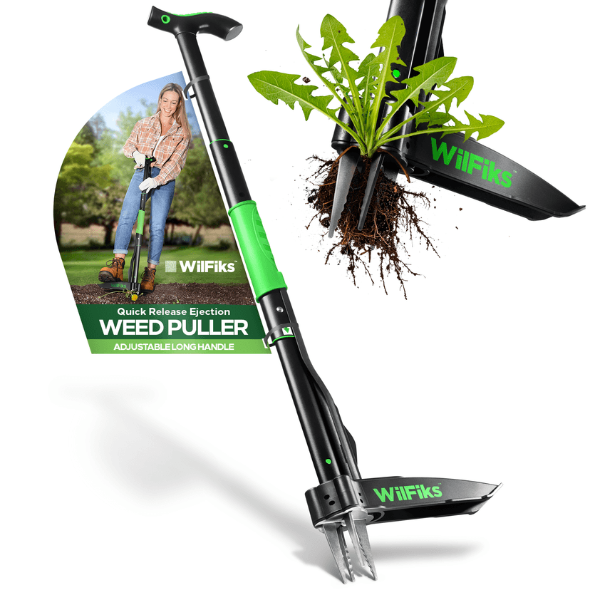 Weed Puller Tool with Long Adjustable Handle (36", 40", & 45"), Quick-Release Weed Ejector Mechanism, Lightweight Aluminum Stand-Up Heavy Duty Weed Remover, 4-Claw Head & Foot Pedal for Easy Weeding