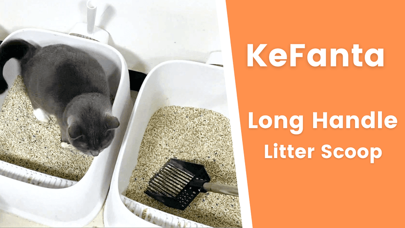 KeFanta Cat Litter Scoop, 41in Metal Kitty Poop Scooper, Heavy Duty Stainless Steel Sifting Shovel with Long Handle for Chicken Coop