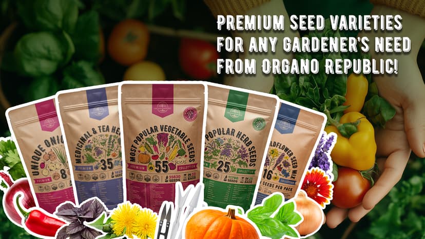 Organo Republic 16 Perennial Wildflower Seeds Mix for Indoor & Outdoors. 100,000+ Non-GMO, Heirloom Wildflower Garden Seeds, 4oz Packet for Growing Wild Flowers to Attract Bees, Butterflies & Birds