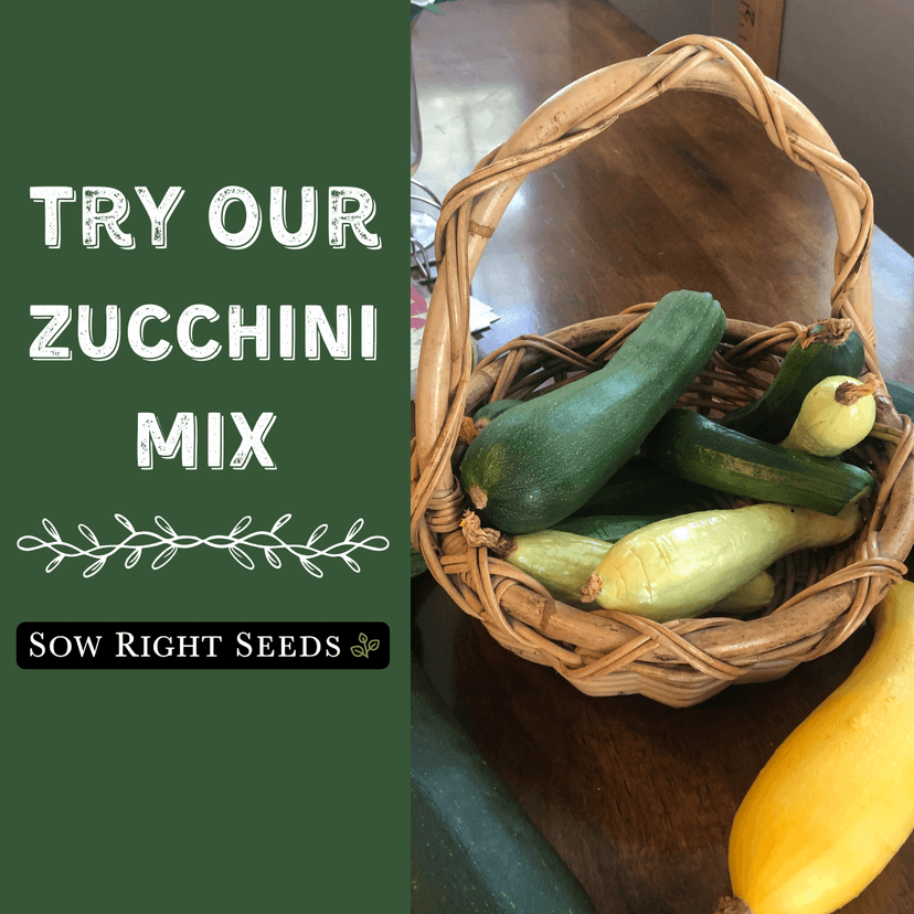 Sow Right Seeds - Zucchini Mix Seed for Planting - Non-GMO Heirloom Packet with Instructions to Plant and Grow an Outdoor Home Vegetable Garden - Vigorous and Productive Variety Pack (1)