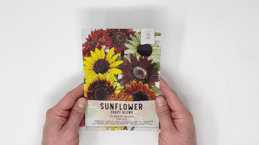 Seed Needs Sunflower Seeds for Planting The Original Crazy Blend | 1 Ounce 15+ Heirloom Varieties Open Pollinated & Untreated | Resealable Bulk Package Multicolored Blooms Flower Seeds