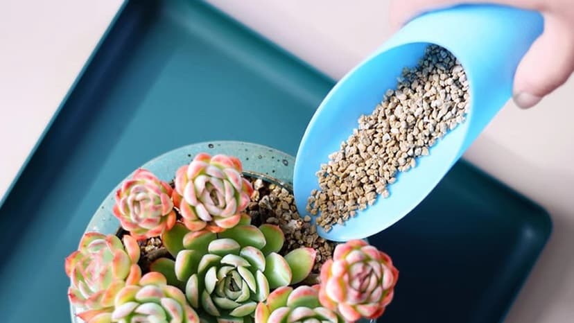 9PCS Bonsai Soil Scoop Plastic Succulent Soil Scoop Indoor Plants Little Small Potting Shovel Bucket Shovel for Garden Planting