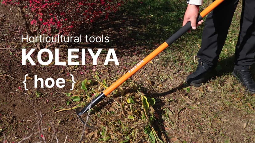57 Inch Heavy Duty Garden Hoe with Orange Fiberglass Handle - Long Handle Garden Hoes for Weeding, Gardening, and Cultivating - Durable Hoe Garden Tool for Heavy Duty Use