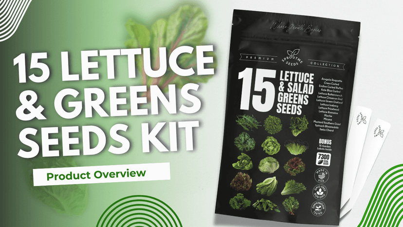 15 Lettuce & Salad Greens Seeds Variety Pack Lettuce Garden Salad Kit with Plant Labels 7300+ Non-GMO Heirloom Arugula Spinach Kale Iceberg Lettuce Seeds for Planting Outdoors Indoors