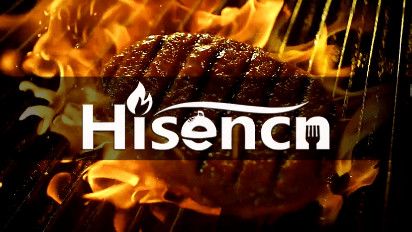 Hisencn Grill Grates for Charbroil Performance Tru-Infrared 2 Burner Gas Grill 463633316, 463672016 463672216, 463672416, 17 Inch Stamped Porcelain Steel Replacement Emitter Plates
