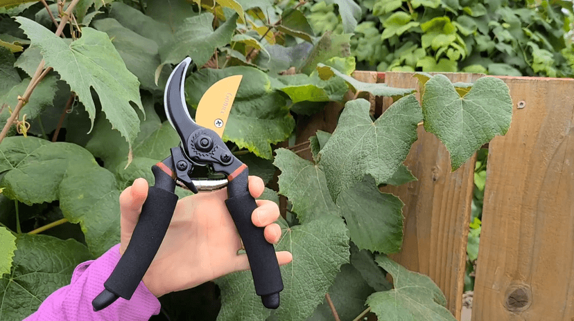 gonicc 8" Professional Premium Titanium Bypass Pruning Shears (GPPS-1003), Hand Pruners, Garden Clippers.