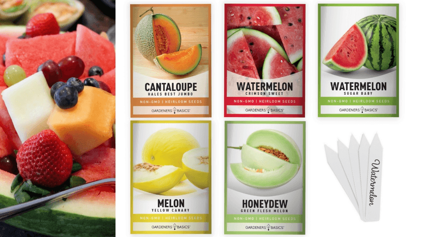 Gardeners Basics, Melon Fruit Seeds for Planting Home Garden 5 Variety Packs - Hales Best Cantaloupe, Crimson Sweet Watermelon, Yellow Canary Melon, Green Flesh Honeydew Melon, Sugar Baby Watermelon