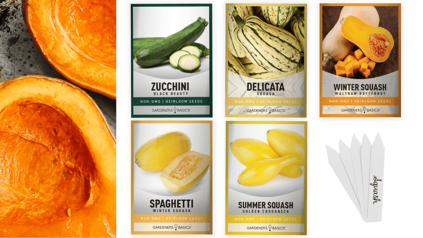 Gardeners Basics, Squash Seeds for Planting 5 Individual Packets - Zucchini, Delicata, Butternut, Spaghetti and Golden Crookneck for Your Non GMO Heirloom Vegetable Garden