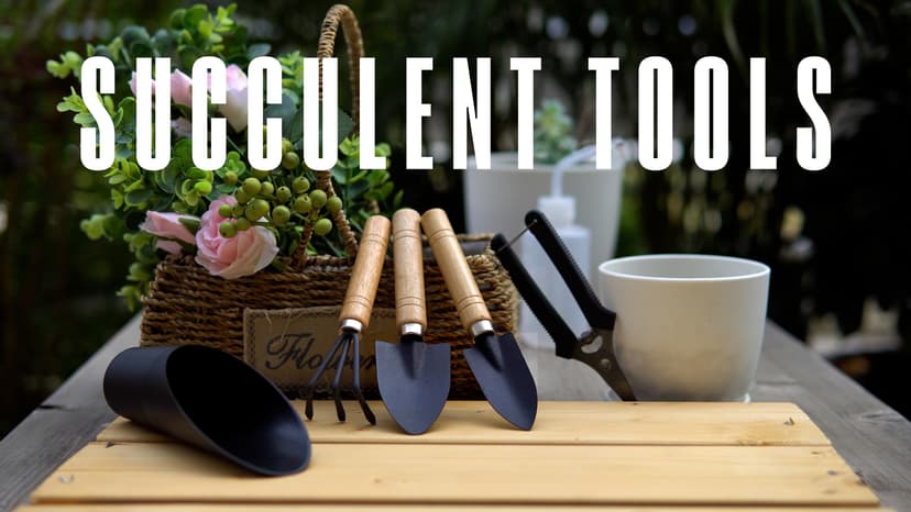 5Pcs Succulent Tools,Mini Garden Tools,Pruning Scissors as Plant Accessories, Gardending Hand Tools Kit for Seedling Soil,Caring Succulent,Houseplent,Bonsi,Gifts for Woman and Man