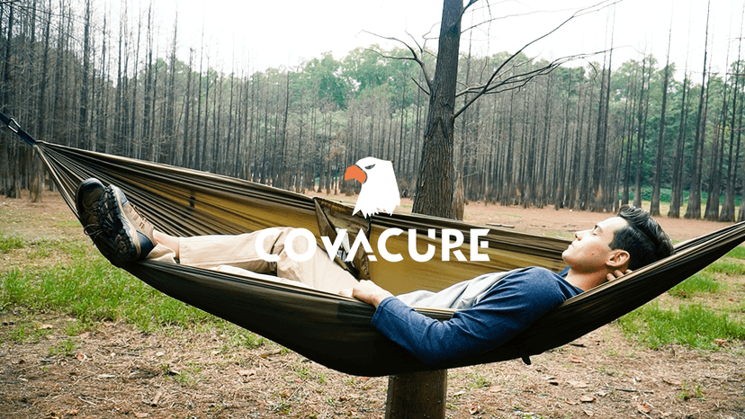 COVACURE Camping Hammock with Net - Lightweight Double Hammock 2 * 10ft Straps, Portable Hammocks, Camping Accessories for Outdoor, Hiking, Camping, Backpacking, Travel, Beach