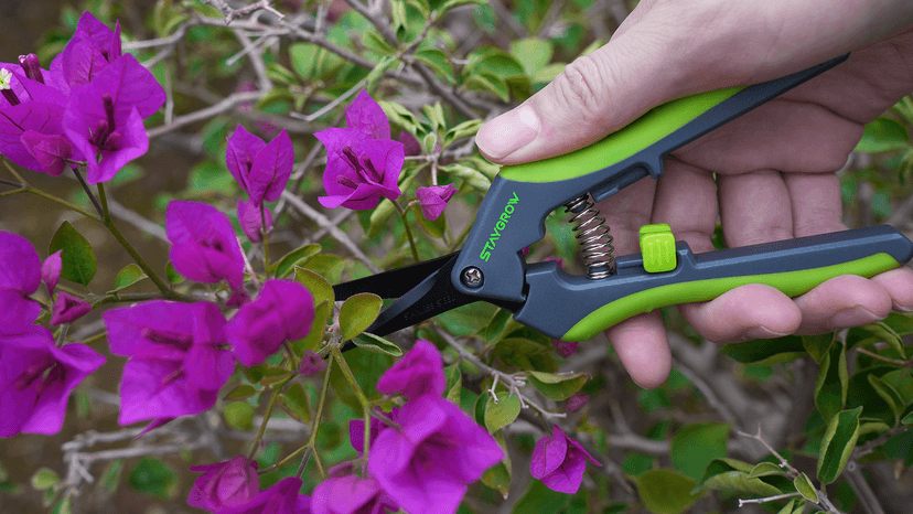2pcs 6.5" Pruning Shears for Gardening, Ultra Sharp Garden Scissors for Precise Cuts, Stainless Steel Bonsai Clippers with Spring Loaded, 6.5 Inch Garden Shears (1pc Straight & 1pc Curved)