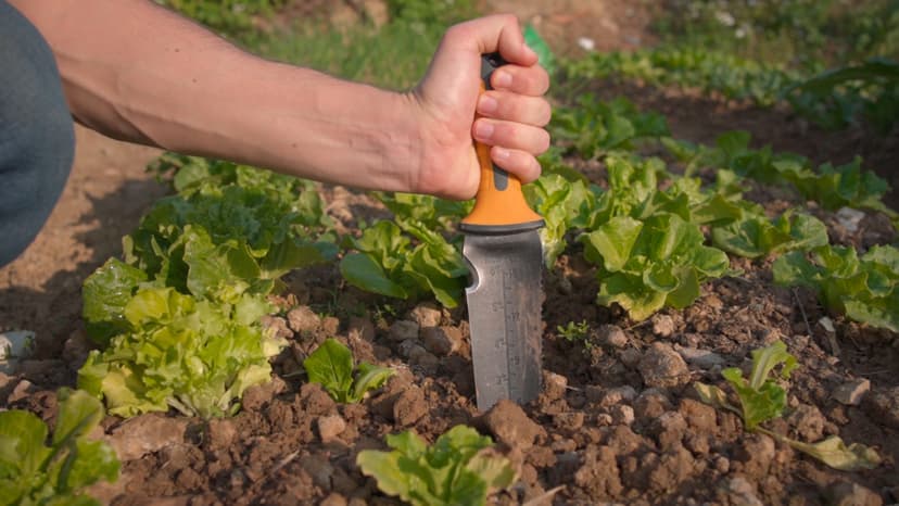 Garden Knife with Sheath, Gardening Tool, Stainless Steel Multi-Purpose Garden Supplies, Ergonomic Handle Hori Hori Knife for Digging, Weeding and Gardening, 7" Stainless Steel Blade