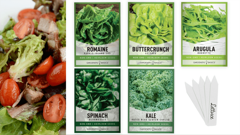 Gardeners Basics Lettuce and Greens Heirloom Vegetable Seed Non-GMO Seeds for Planting Indoors and Outdoor - Lettuce Buttercrunch, Romaine, Arugula, Kale and Spinach, Pack of 5