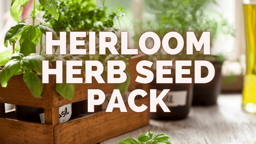 HOME GROWN 15 Culinary Herb Seeds 4,500+ Heirloom 𝗡𝗢𝗡-𝗚𝗠𝗢, 𝗨𝗦𝗔-𝗦𝗢𝗨𝗥𝗖𝗘𝗗 High Germination Rate, for Planting Indoor Hydroponic Outdoor, Gardening Gifts for Women Men, Mothers Day Gifts