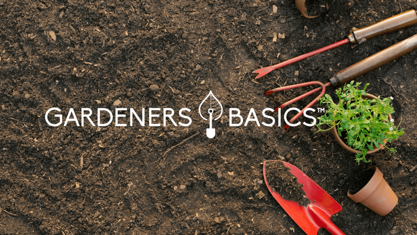 Gardeners Basics Survival Vegetable Seeds Garden Kit Over 16,000 Seeds Non-GMO and Heirloom, Great for Emergency Bugout Survival Gear 35 Varieties Seeds for Planting Vegetables 35 Free Plant Markers