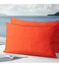 Waterproof Outdoor Pillows, Feather and Down Filled Outdoor Throw Pillows Water-Resistant Decorative Premium Lumbar Pillow Pack of 2