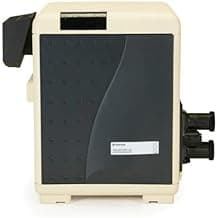 Master Temp Gas Pool Heater, 250,000 BTU, Model (Natural)