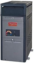 Raypak 105,000 BTU Swimming Pool and Spa Heater - Propane