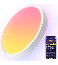 Govee Smart Ceiling Light, RGBIC LED Ceiling Light Fixture, 2400LM Flush Mount Light Fixture, DIY Colors, Works with Alexa, 2200K-6500K Ceiling Lights for Bedroom, Living Room, 12 Inch, 1 Pack