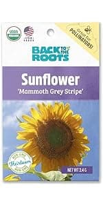 Seed Packet Bell Pepper 'Sweet Cal Wonder'
